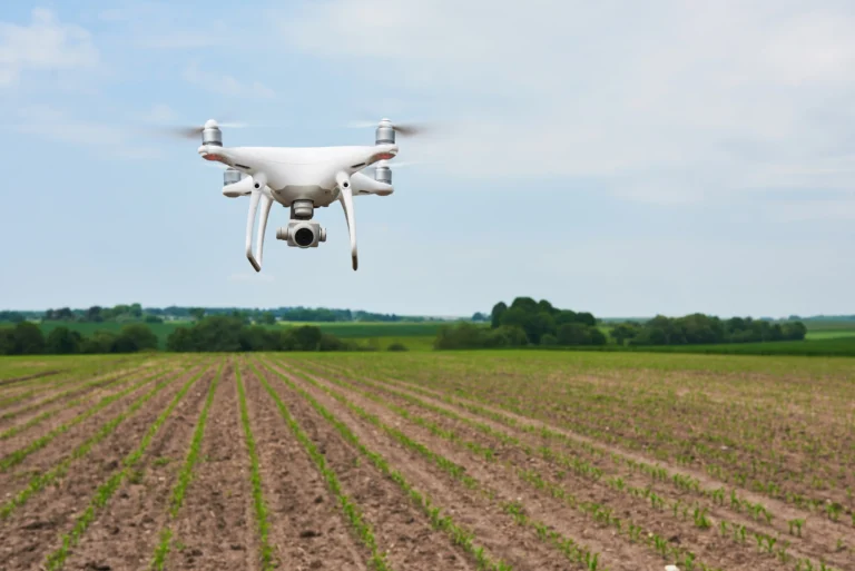 drone-quad-copter-with-high-resolution-digital-camera-green-corn-field-agro Image description