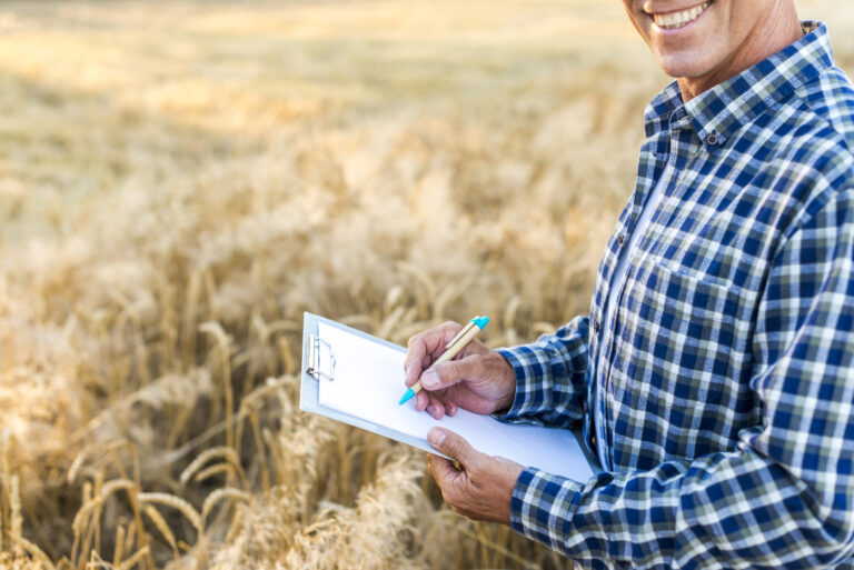 man-writing-clipboard-wheat-field Image description